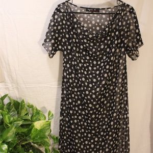Agnes B. Sheer Polka-Dot Dress Cover